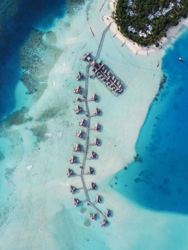 Conrad Maldives Rangali Island скоро откажется от использования одноразовых пластиковых изделий