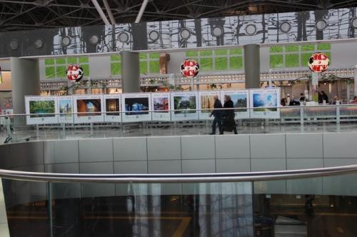 В аэропорту Внуково открылась фотовыставка «Путешествуйте дома. Весна»